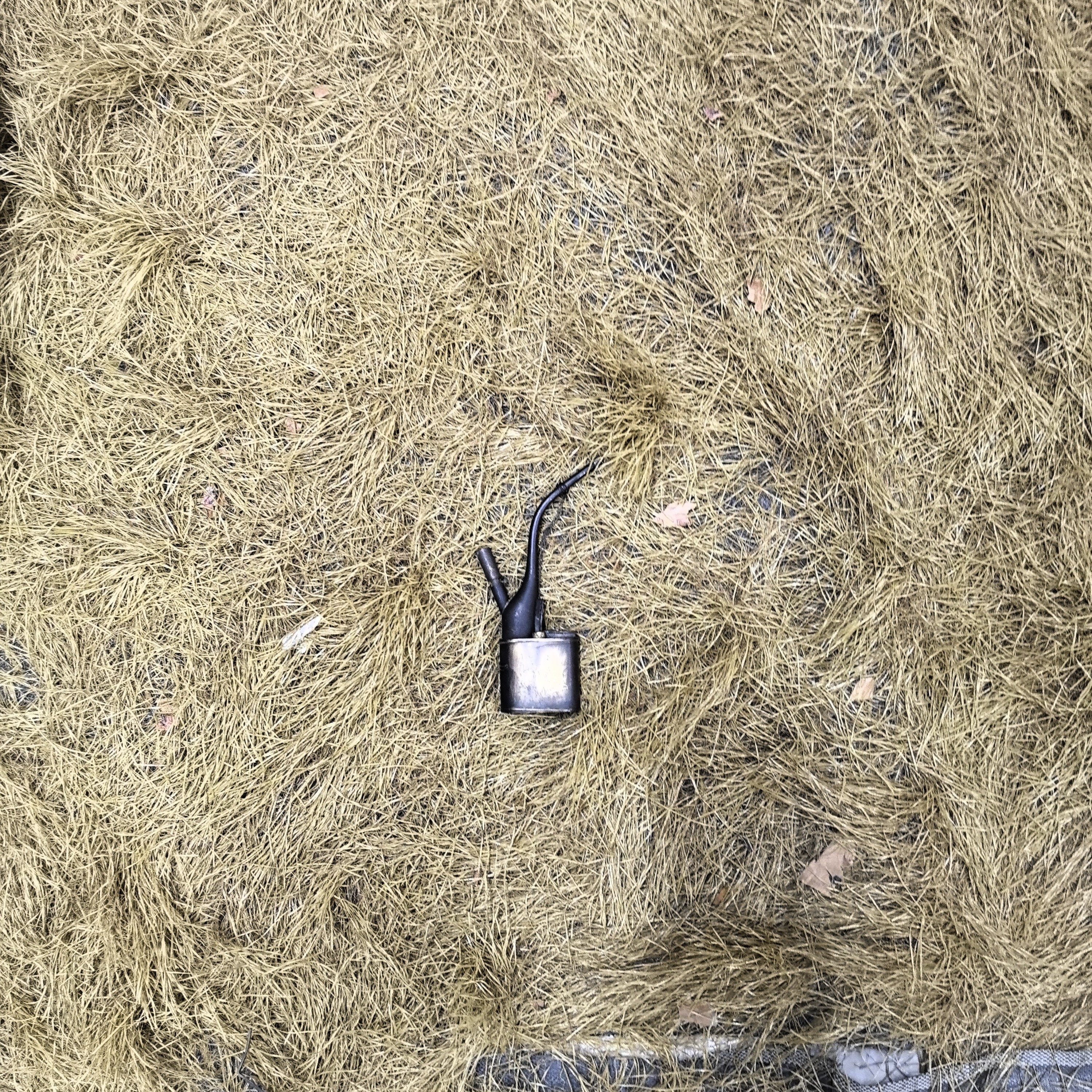（闪购链接）福利水壶小