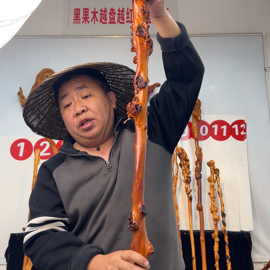 大***树黑果木其他黑果木396