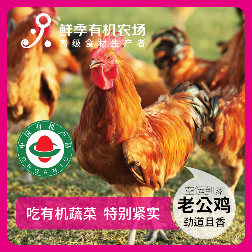 鲜季有机老公鸡 净重3斤左右 吃蔬菜/吃粮食/散养/当日屠宰/空运