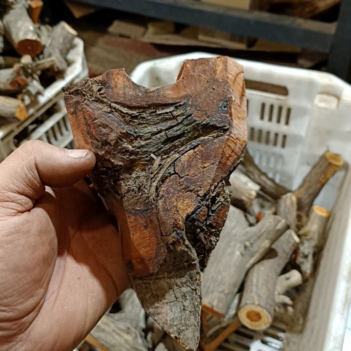 毛***）香榧木火琉璃原叉火琉璃原叉