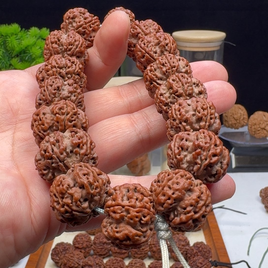 大***花金刚菩提手串纽扣梅花