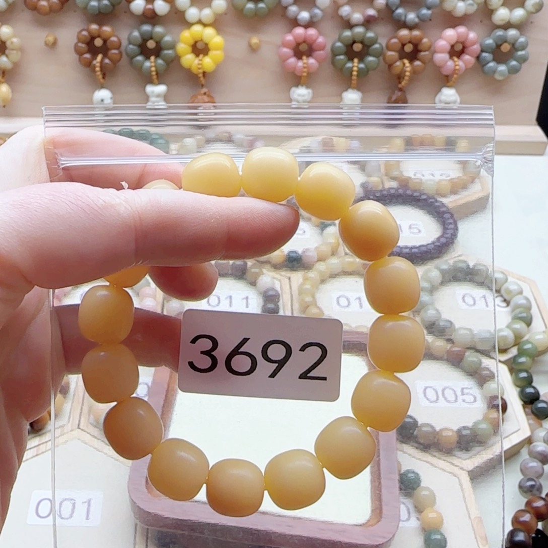 ᥫ***°手串菩提根/象牙果