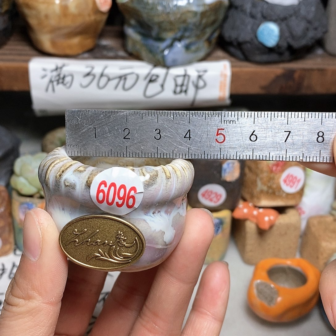 红陶拍5送一个小