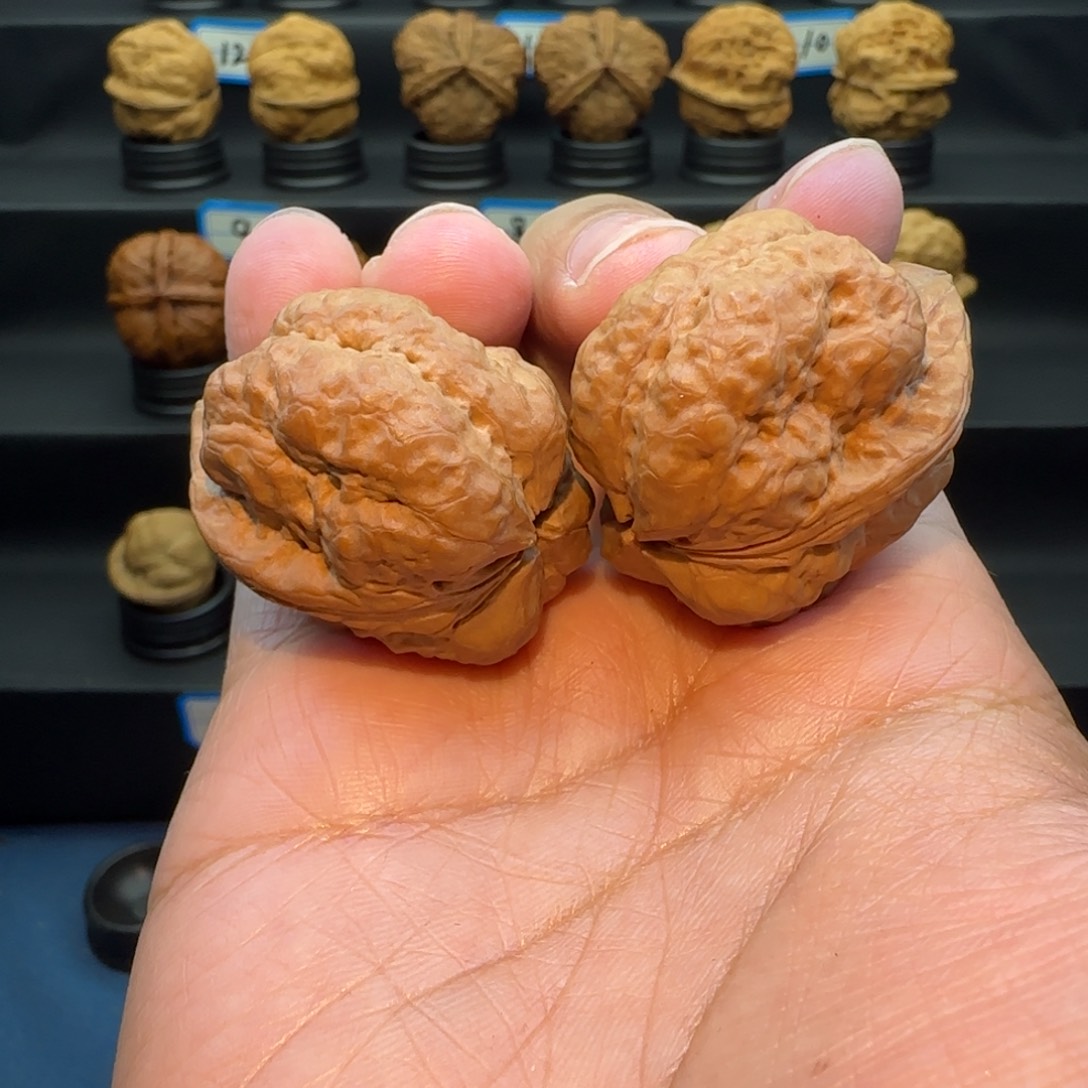 叶***蓁桃核把件大羊头蟾