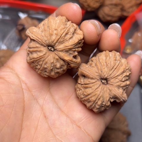 把件文玩核桃血麒麟全品