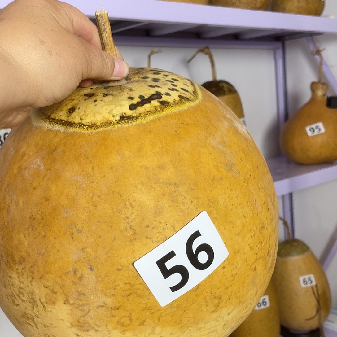 木126—————666666666666