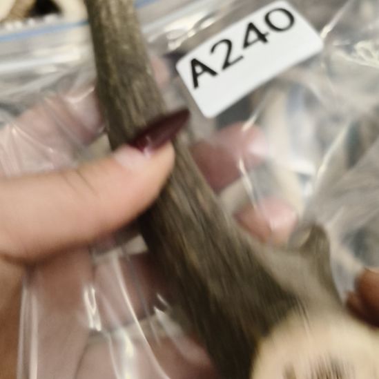 泡***泡鹿角鹿角鹿角鹿角鹿角