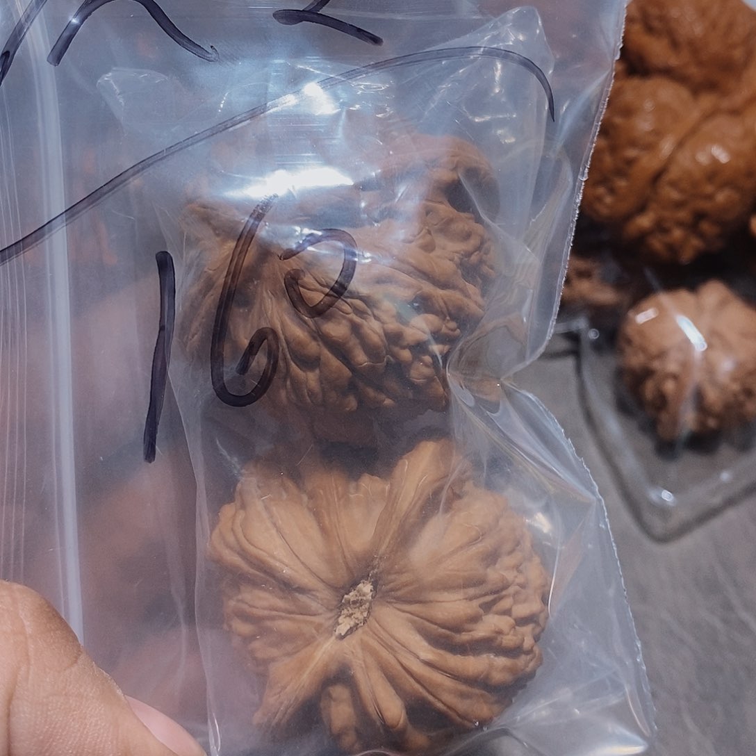 文玩核桃把件仄*46尺球白