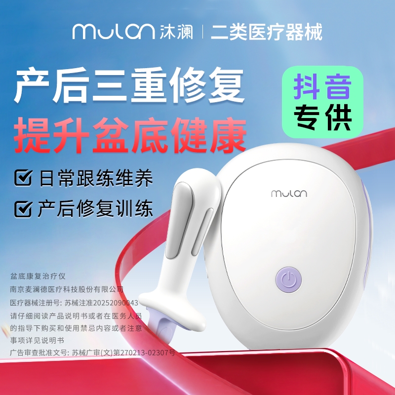 澜渟盆底康复治疗仪家用小型理疗仪女性产后盆底肌修复E10系列