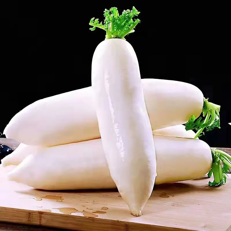 【全店满5元包邮】三尺白萝卜种子