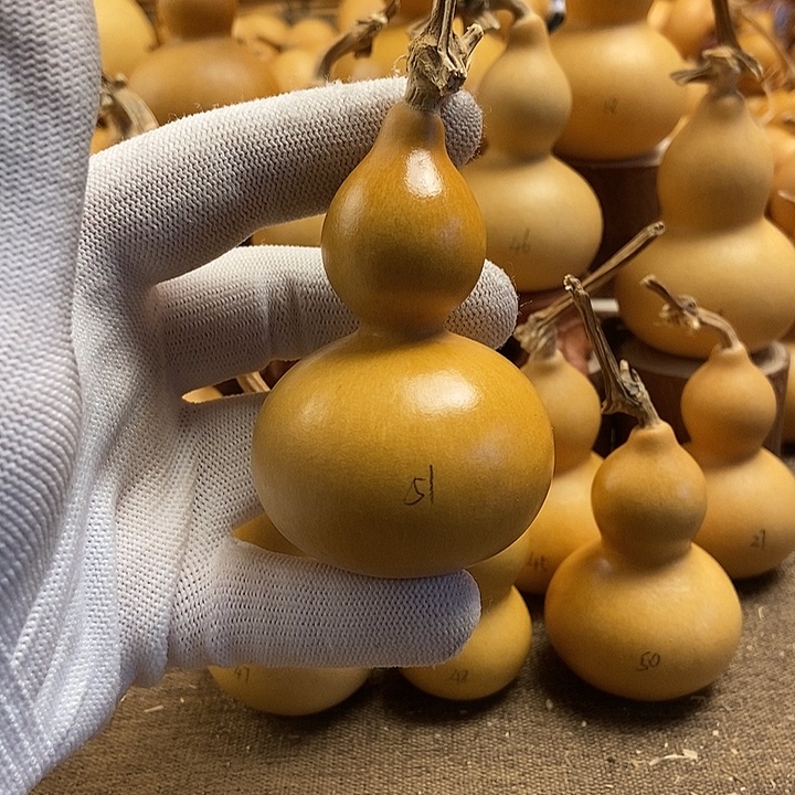 文玩葫芦 完美主义者 慎拍51