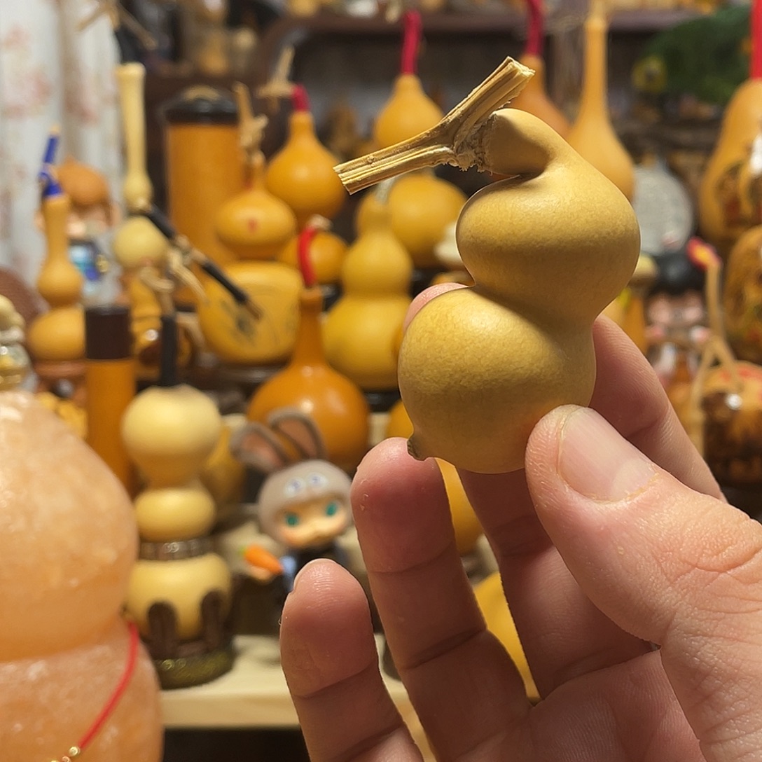 红***日葫芦山西铁皮葫芦