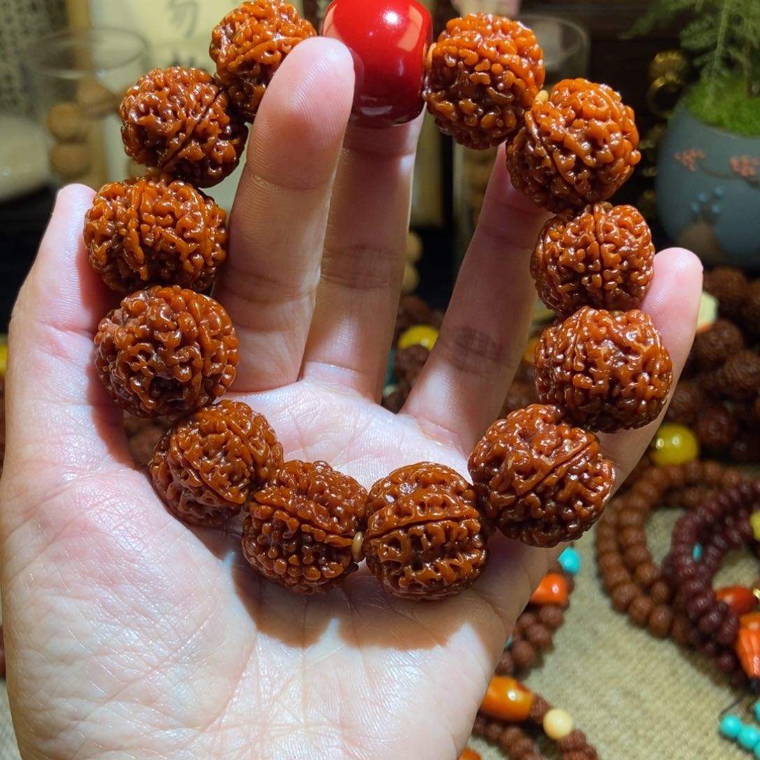 金刚菩提手串236玉化红