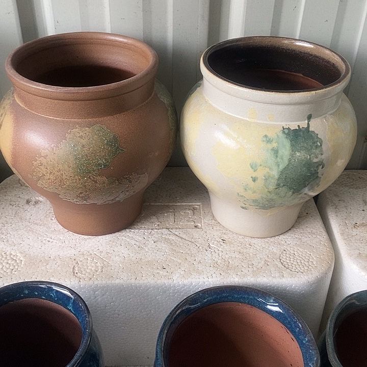 红糖16。。。。21。。。。。。