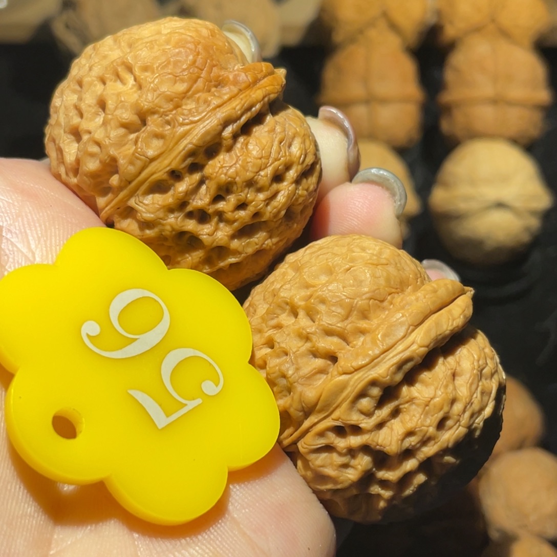 小狮子38尺寸核桃