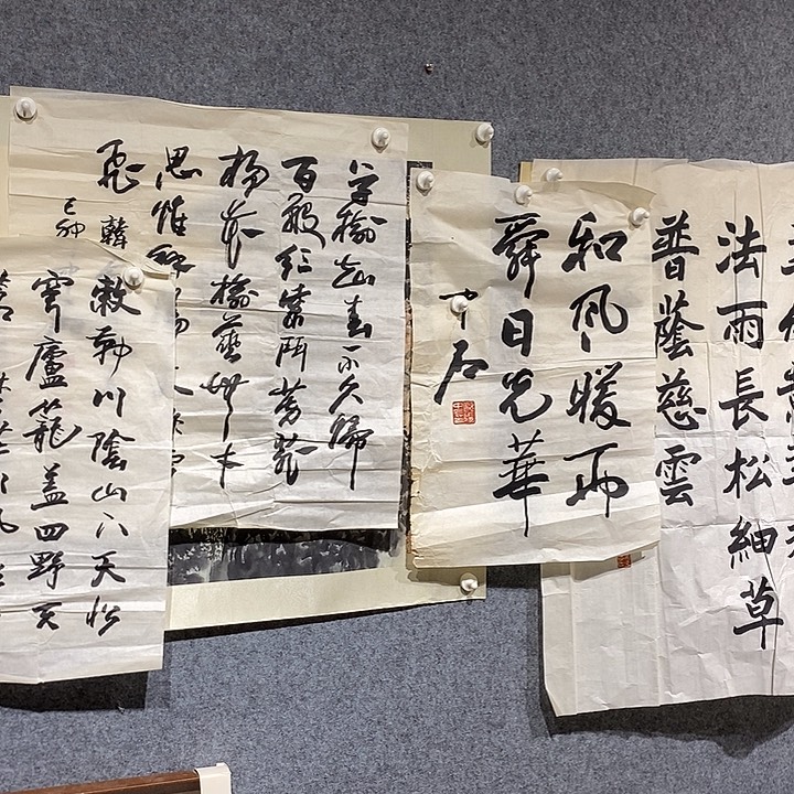 用***9横款1111111111111