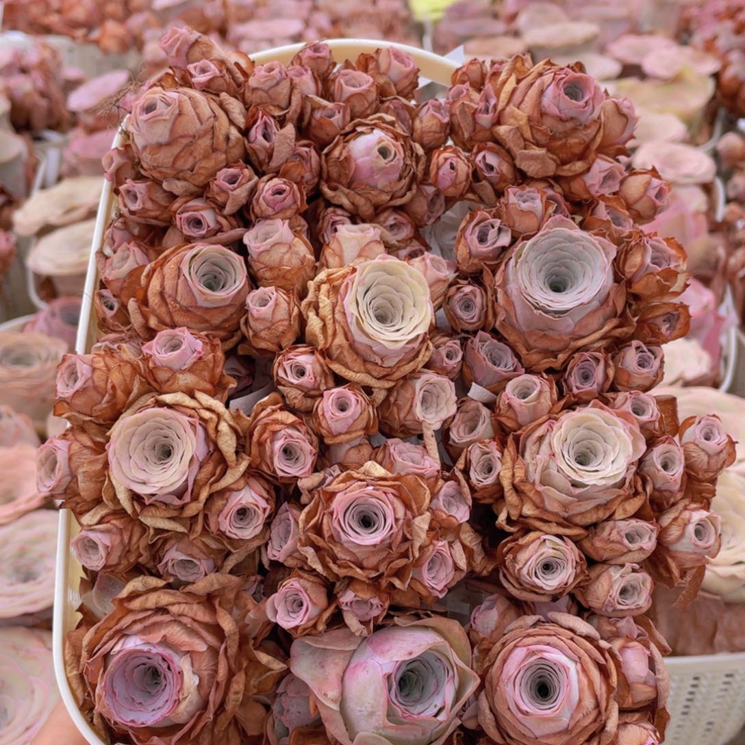 山地玫瑰花篮组合J236