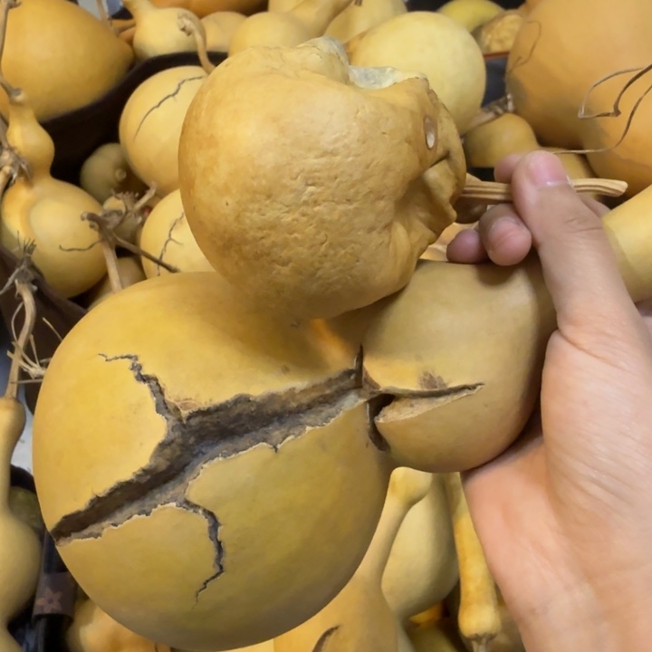 ¹***⁰三醋酯纤维我也不知道我为什么要这样对