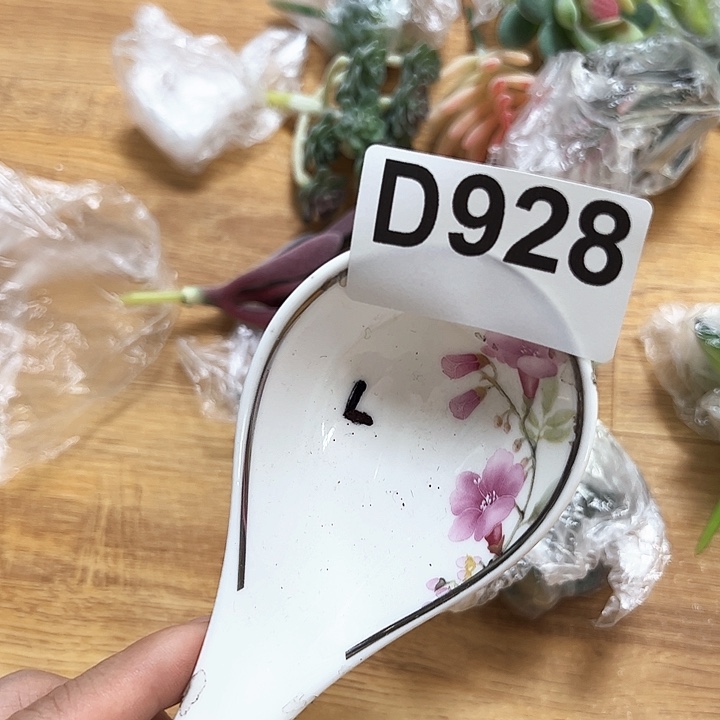 紫砂～～～～～～～～～～～发