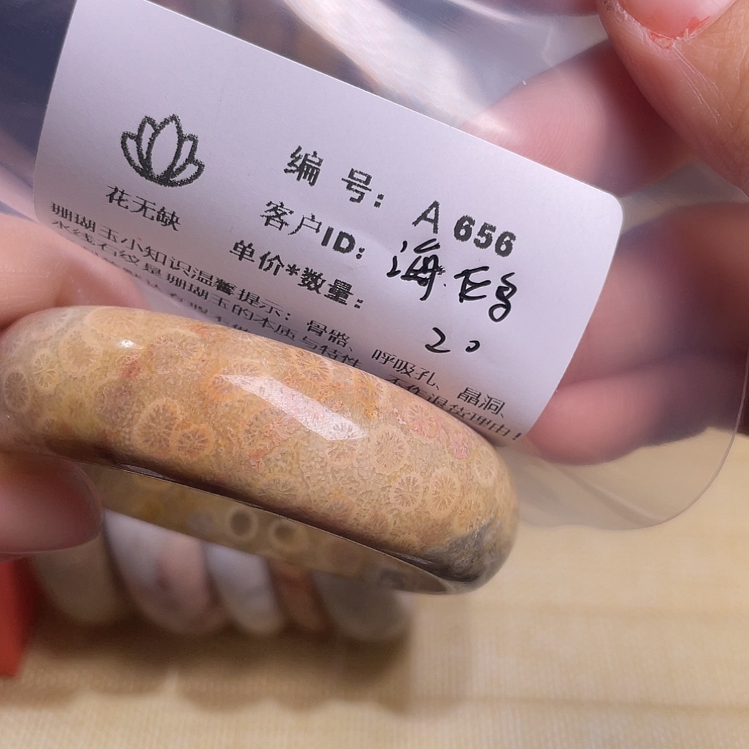 海***鸥硅化玉未镶嵌55-60圈