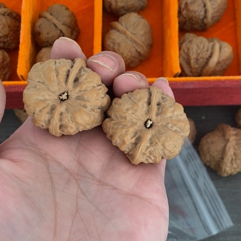 文玩核桃把件哈哈哈