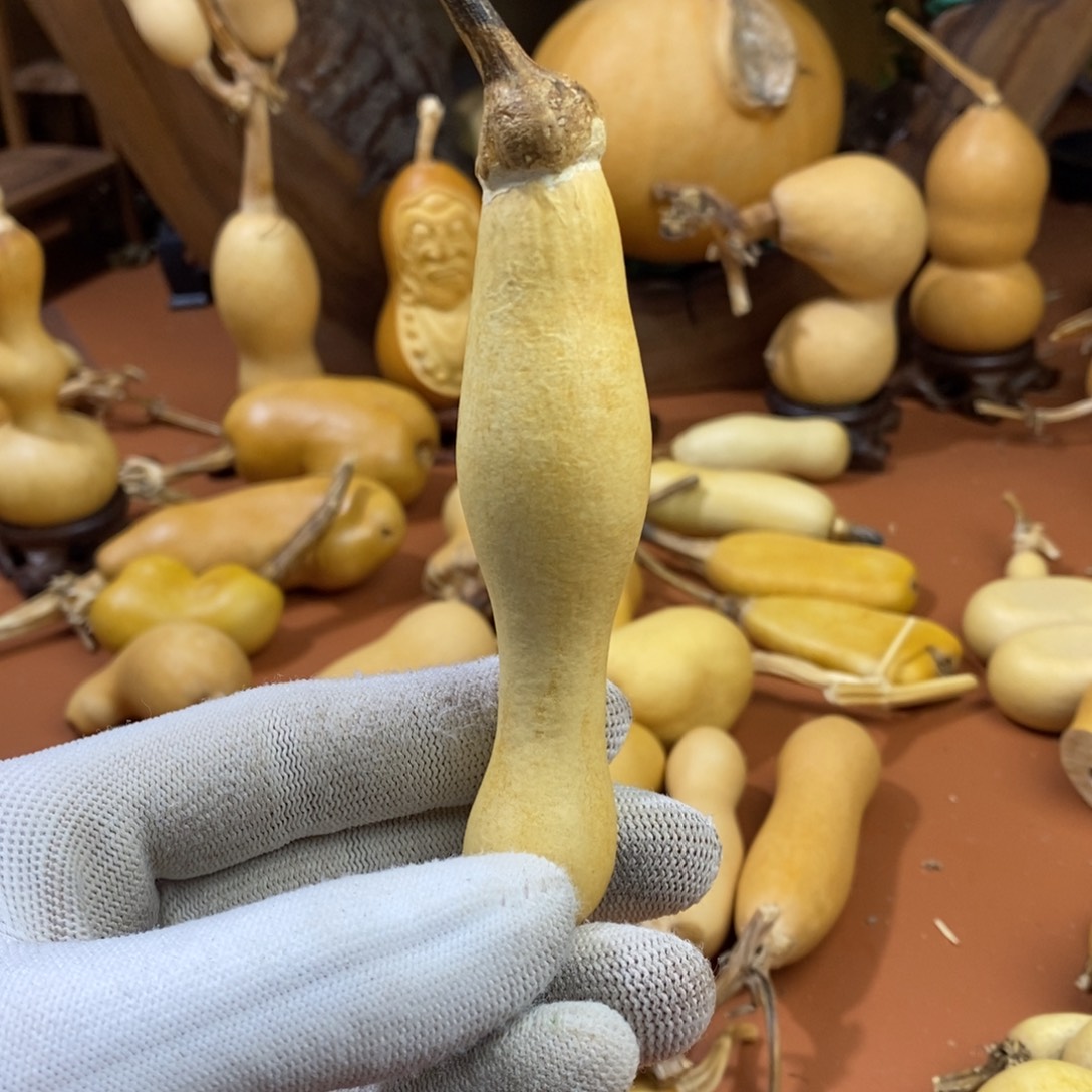 困***行教练教练教练教练经理