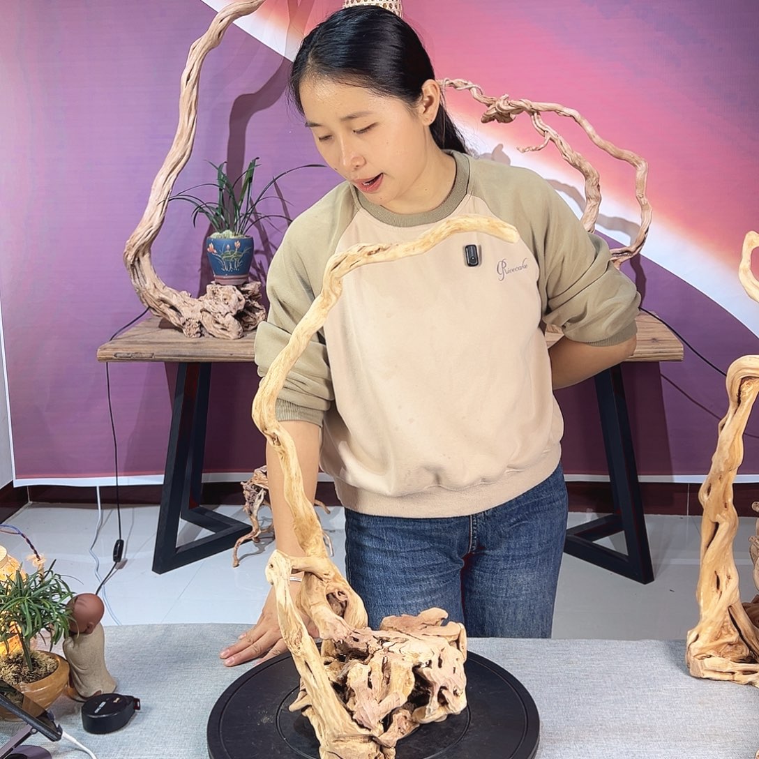 苏***宋木天然杜鹃根根艺摆件