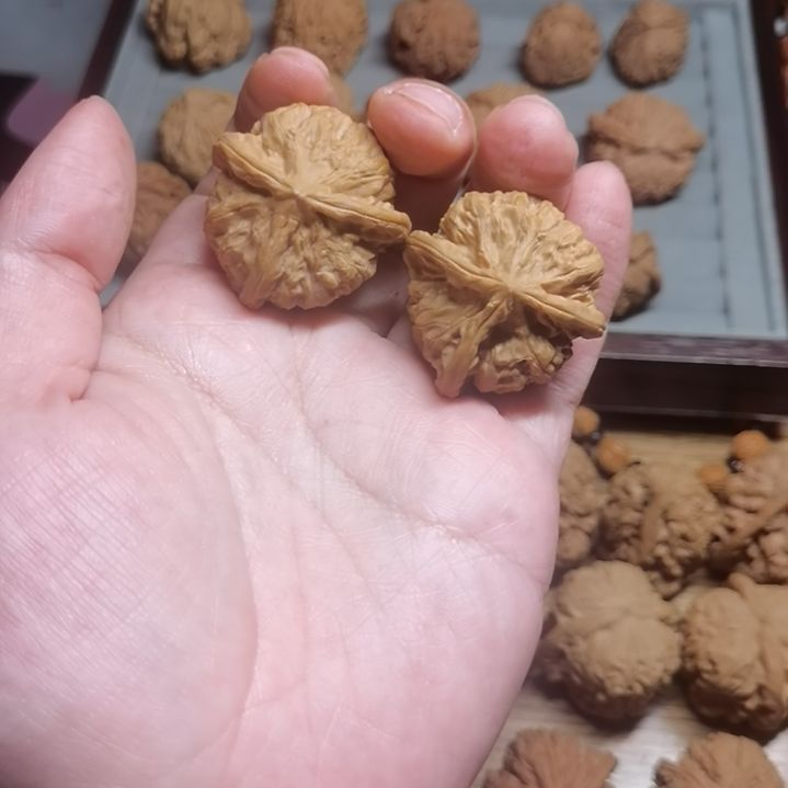 玉玺三棱77777788