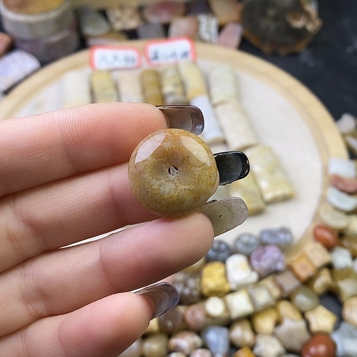 针钠钙石（海纹石）未镶嵌颈饰2