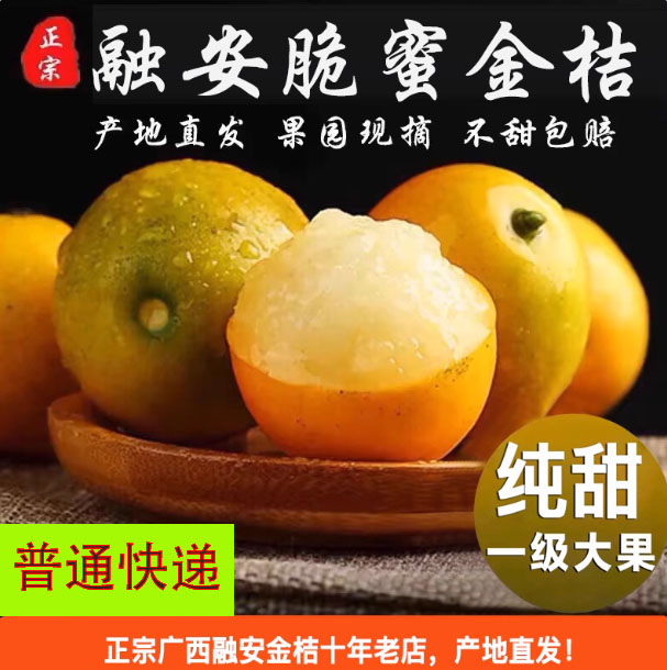 [第三代]融安脆蜜金桔纯甜新鲜水果现摘现发普通快递箱装皮稍厚