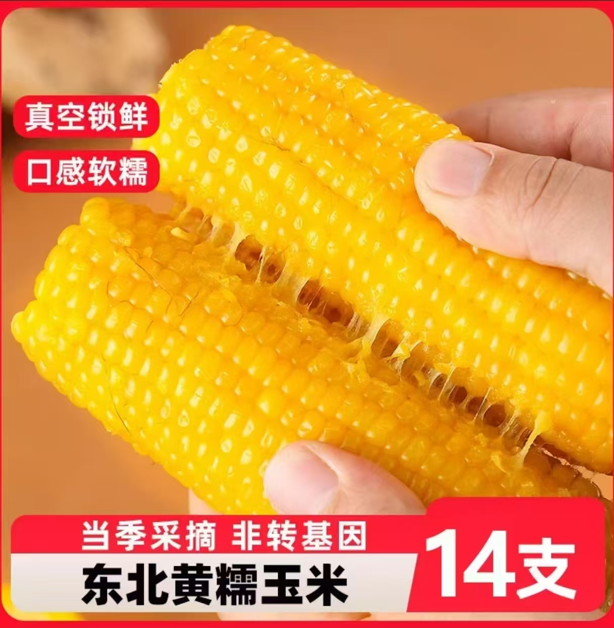 【9−9.5斤重！到手14根】25年东北黏香黄糯玉米/真空锁鲜’试吃5根