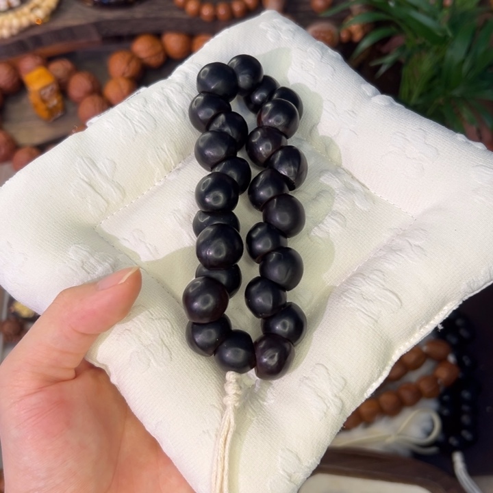 无患子大肠卡14加