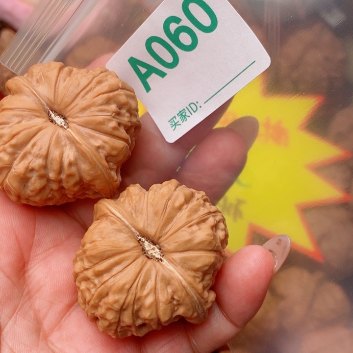 南瓜42尺060号123