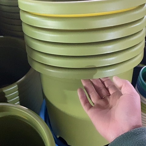 树脂特价5号6个无托果绿