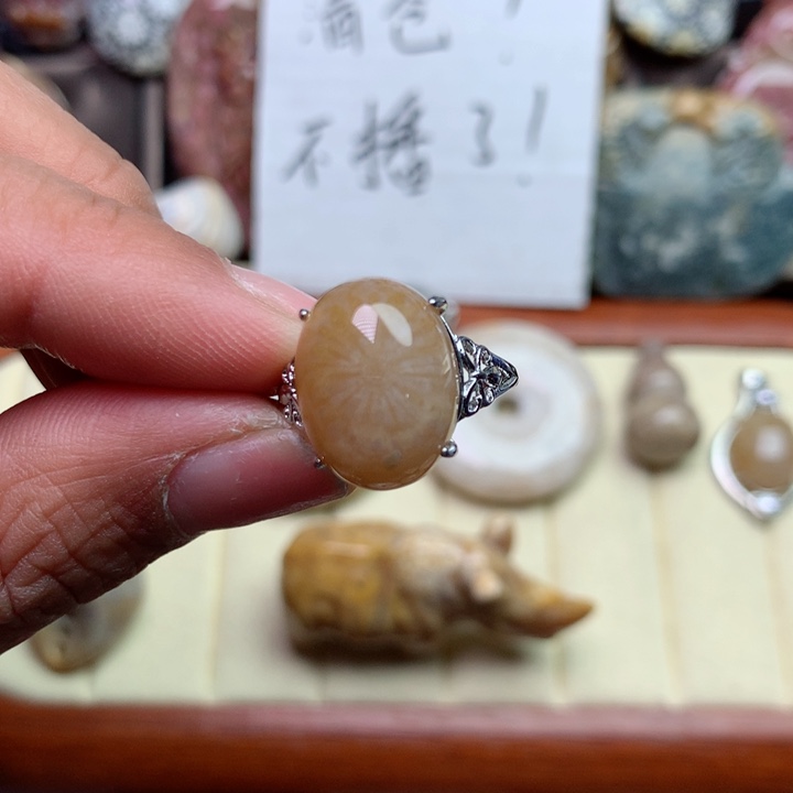 硅化珊瑚（珊瑚玉）颈饰未镶嵌