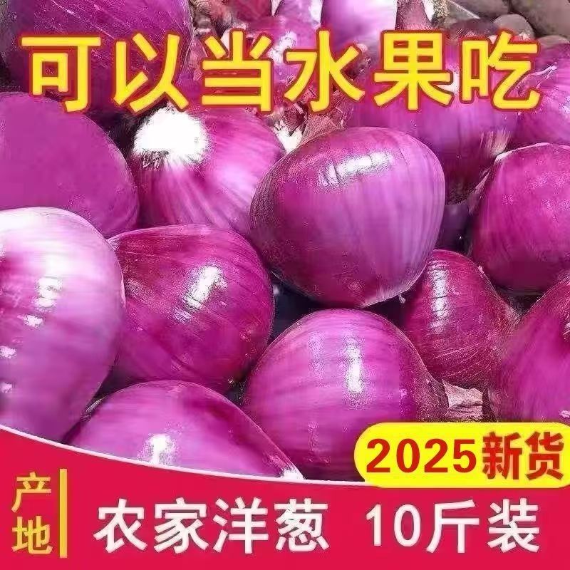 【伍圆十斤发两箱】可当水果吃紫红皮洋葱可生吃紫皮水果洋葱脆甜