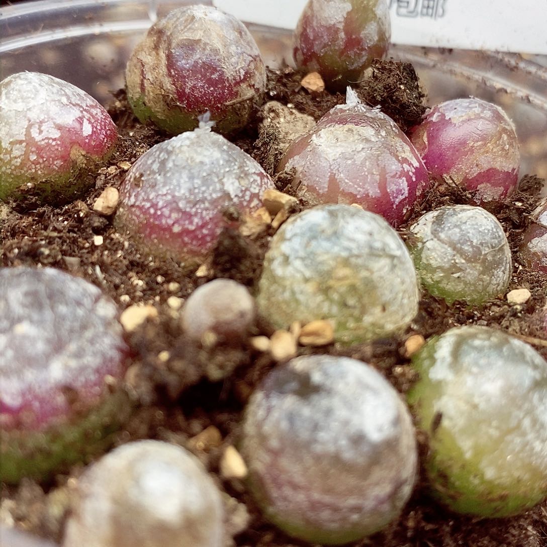 我要看电影啦嘻嘻看到这些258