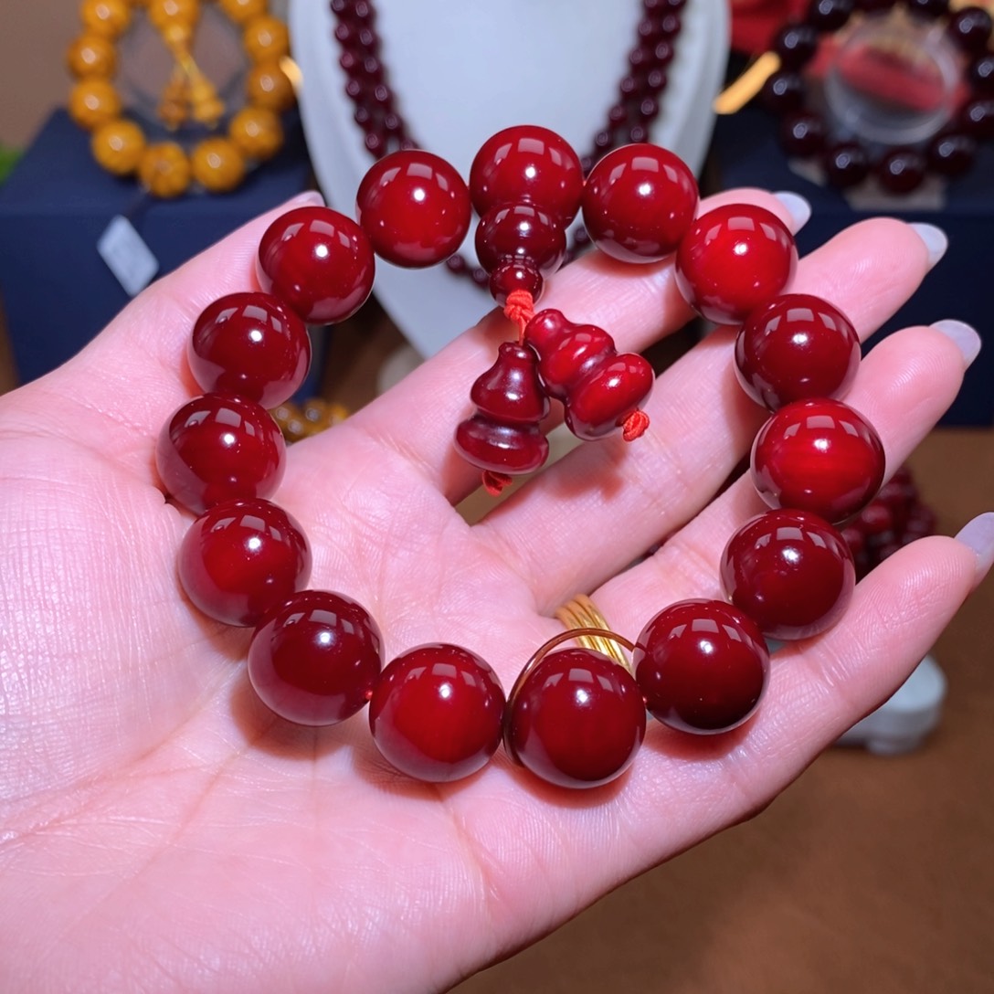 贝壳杉血龙木1.5千年果冻