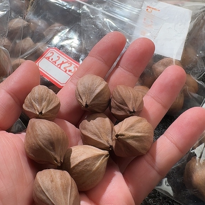 吊坠橄榄核金*2.4❌3.2