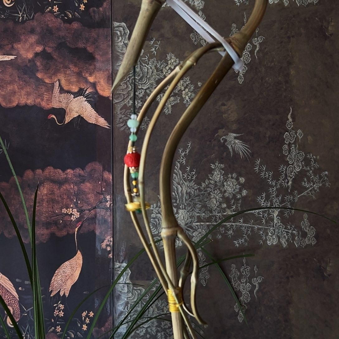 【见竹】原创龙挂香