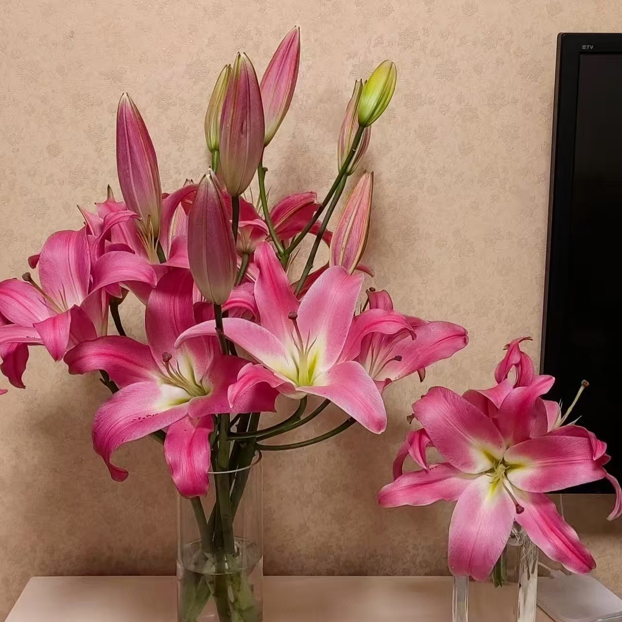 果语精选【红色百合】云南鲜花次日达