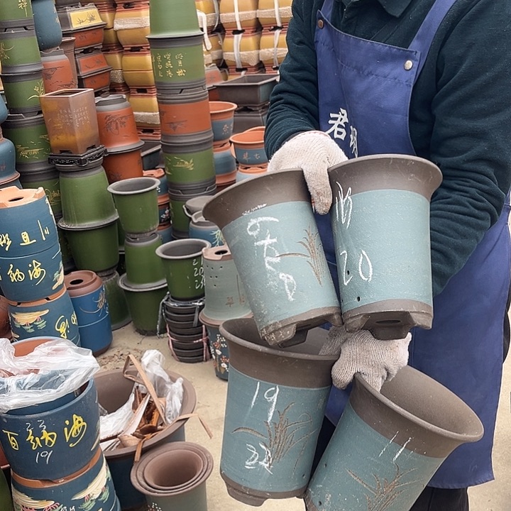 紫砂紫砂花盆和一条