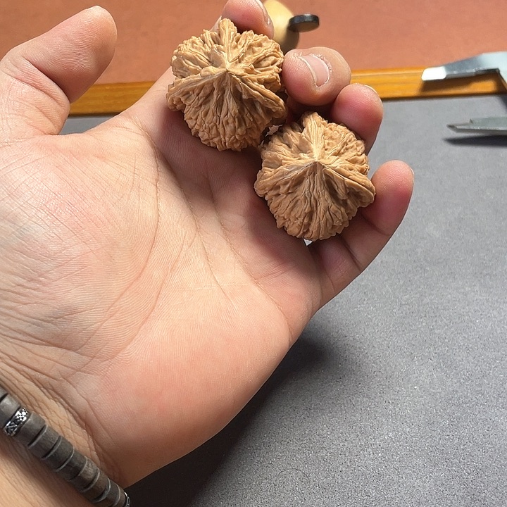 文玩核桃把件御龙粗筋