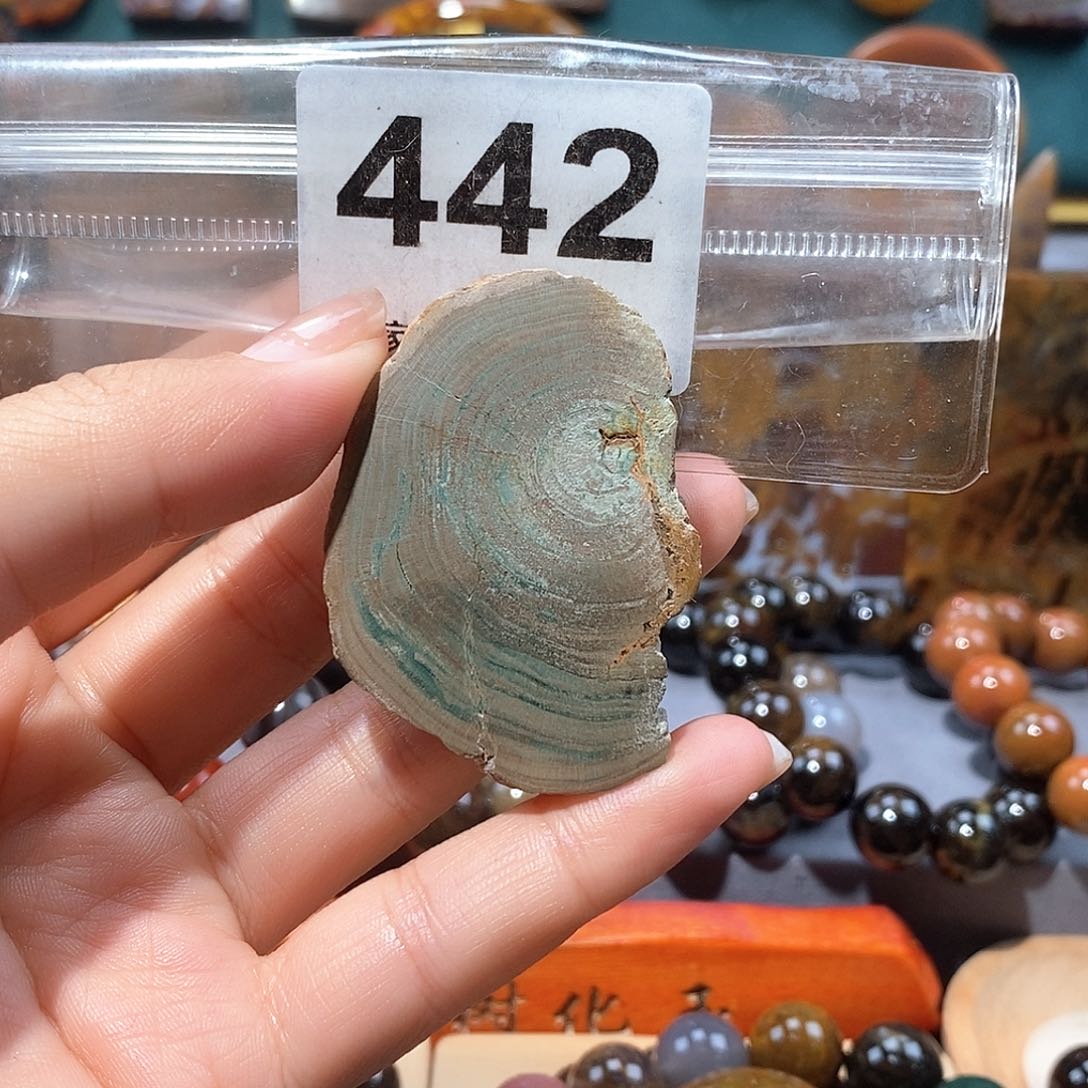 硅化玉天然北票硅化玉牌子未镶嵌