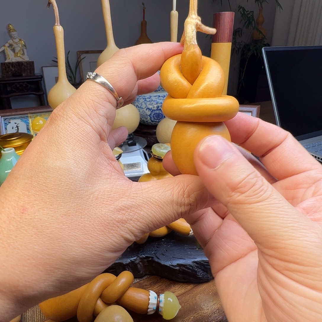 V***p888888888888888888