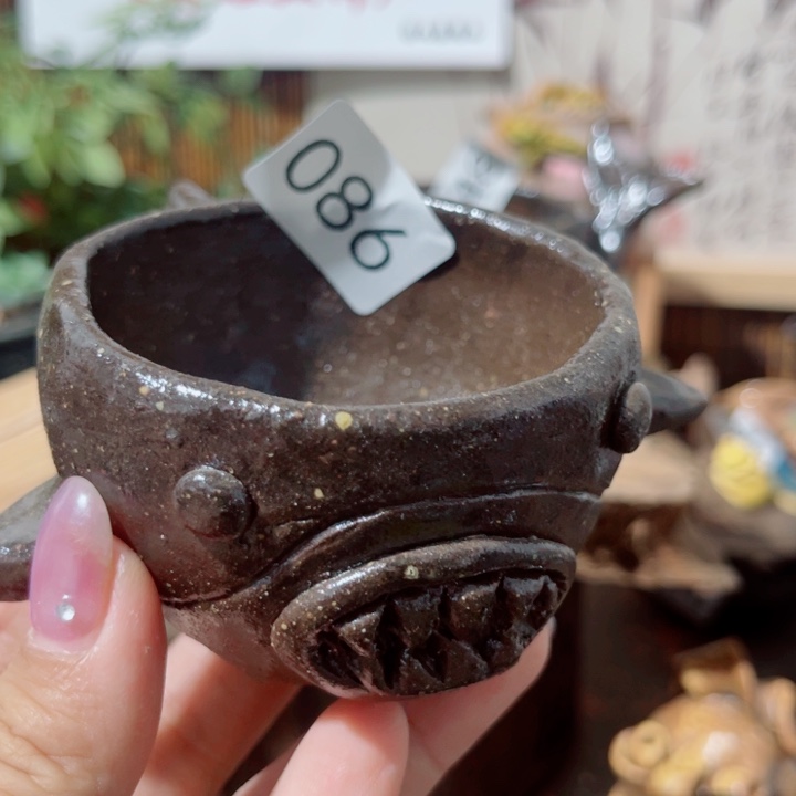 木村信弘柴烧保平