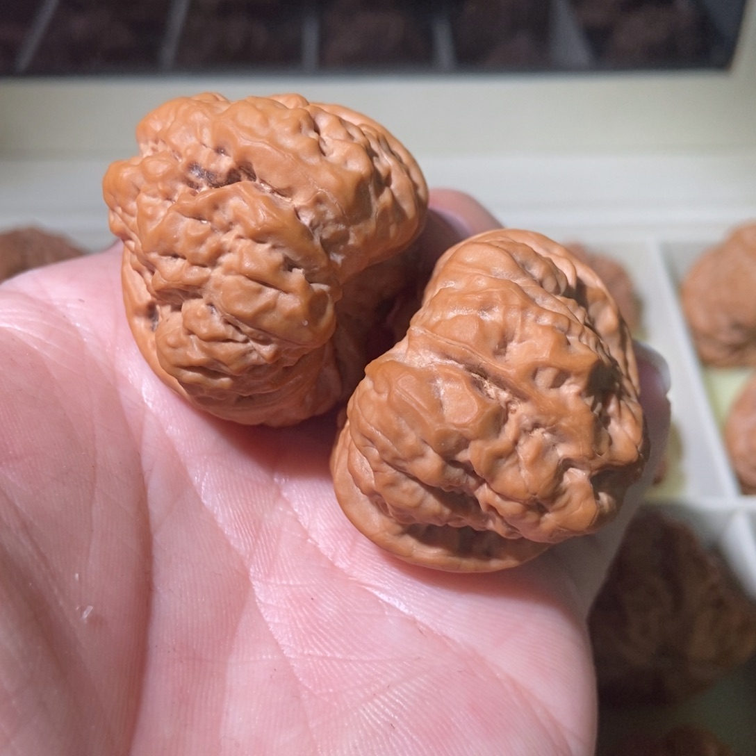 文玩核桃把件40蛤蟆