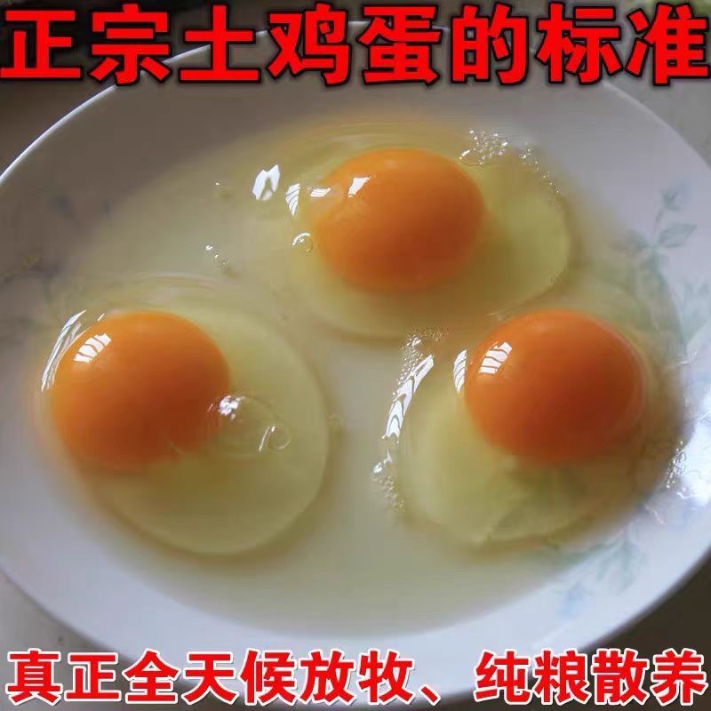 高品质正宗农村土鸡蛋笨鸡蛋新鲜鸡蛋纯粮食喂养天然草鸡蛋无抗蛋
