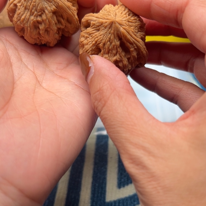 桃核吊坠文玩大孤石