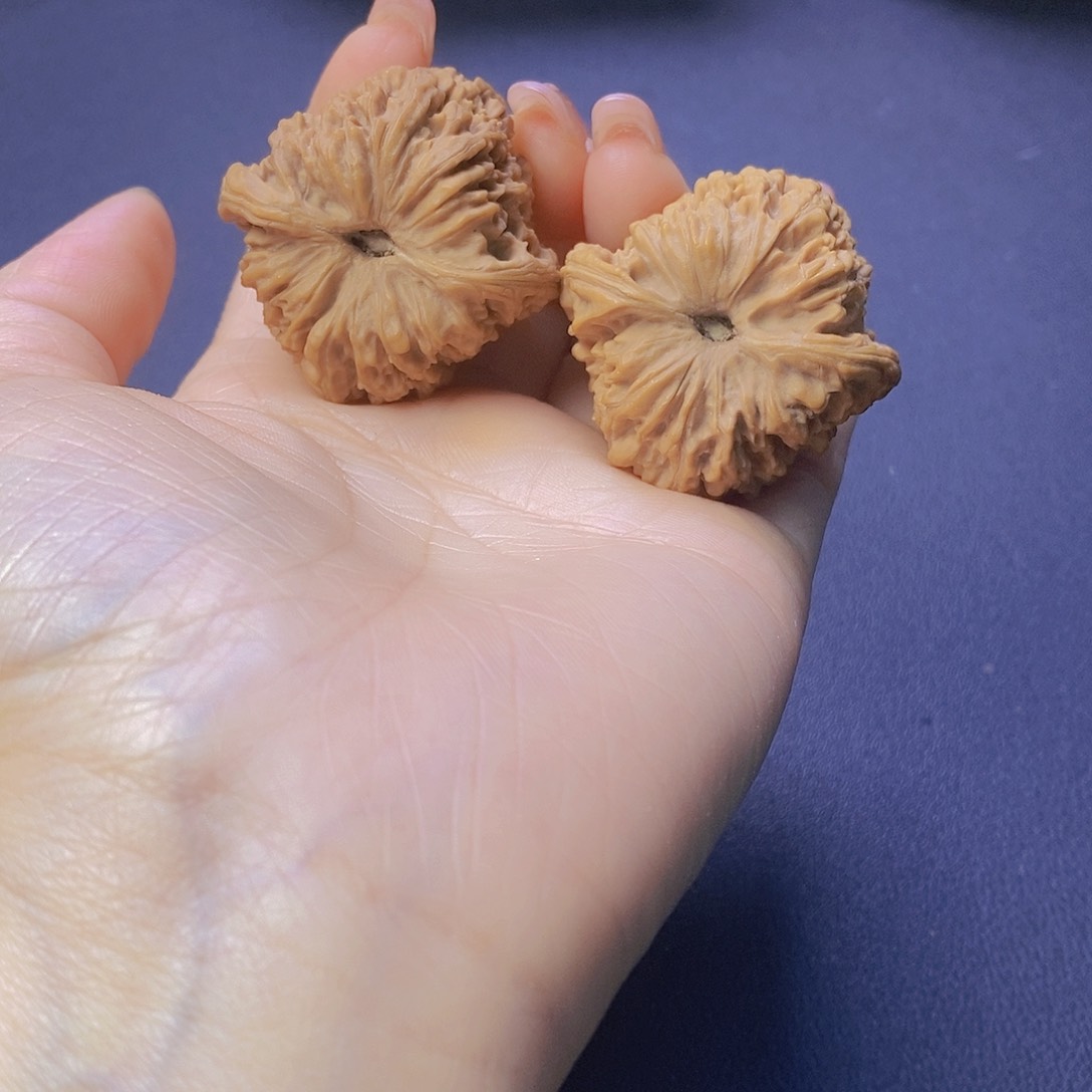 录**博文玩核桃南疆色差